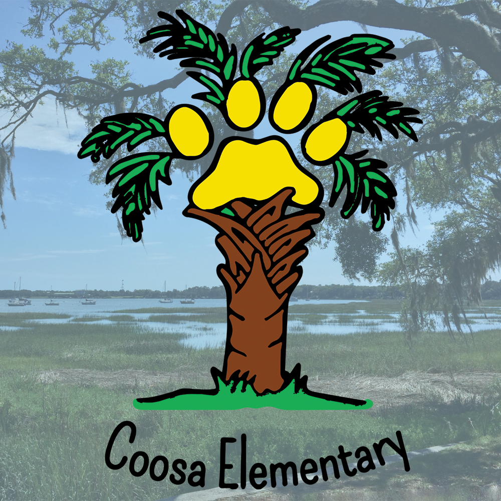 Coosa Elementary School New South Shirts